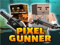 image Pix Gunner