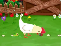image Stupid Chicken