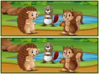 Spot The Differences Forests