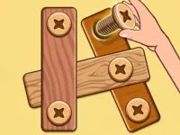 Nut Bolt Puzzle Game